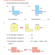 Master Mind - Primary Mathematics Exercise, Revision and Mock Exam (英文版數學科)